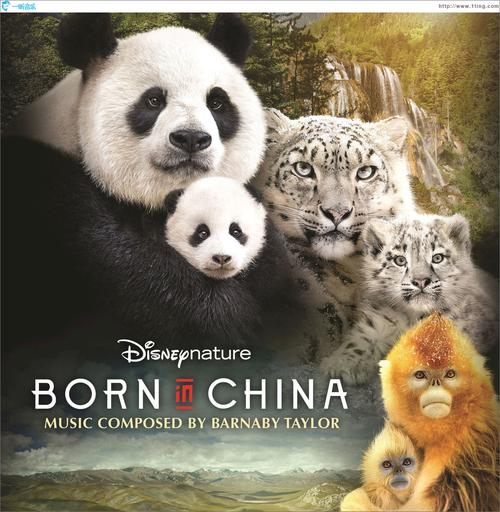 l什么in Canada on may 2?born in china导演