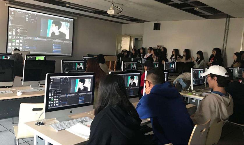 编导专业不是名校出来好就业吗?导演创作的基础和依据是什么?