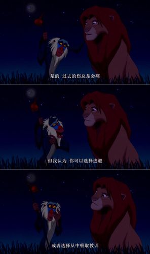 狮子王,经典台词?功夫之王是哪个国家拍的?
