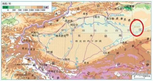 血鹅掌是什么电视剧里的?罗布的导演是谁?