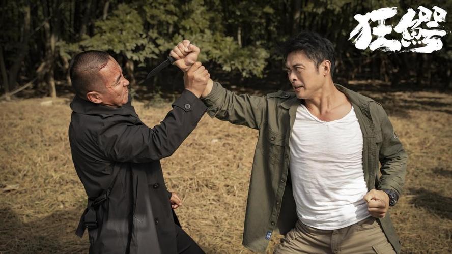 樊少皇全部武打电视剧？任达华和樊少华主演的电影？ 
