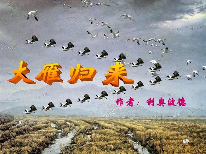 电影雁归来主要演员?带归来的电影名字?