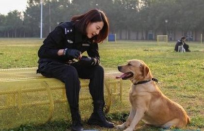 为爱痴狂警花结局?公主和青蛙告诉我的道理?