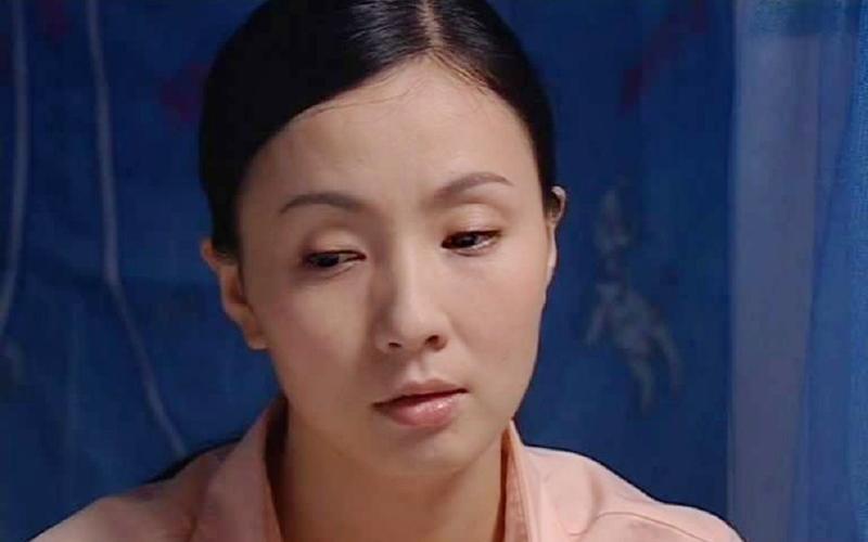 保姆马晓慧扮演者?王奉友演过马大帅吗?