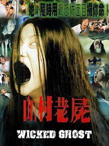 恐怖片，乡村教师？被鬼奸 导演 