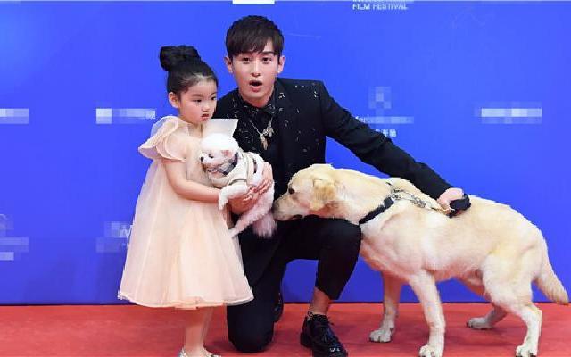 会踢球的狗狗电影叫什么名字?成毅阿拉蕾什么节目哪年的?