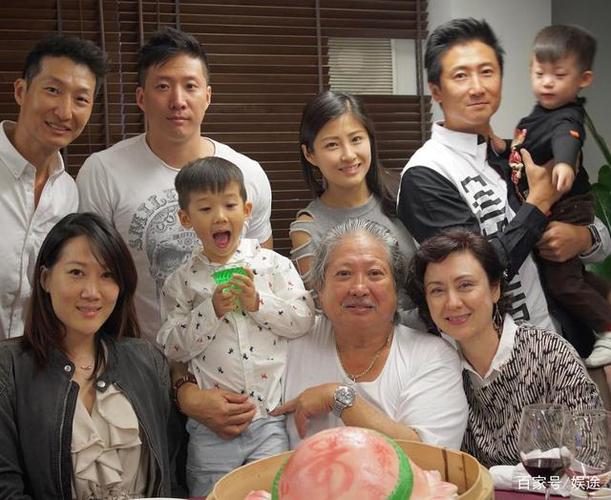 洪金宝的儿子资料？洪金宝和他儿子演的电视剧？ 