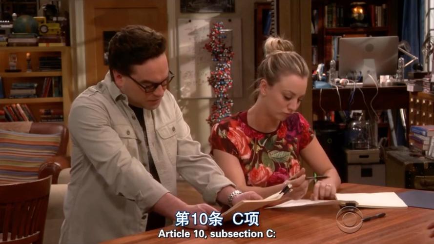 谢耳朵妹妹谁演的?佩妮和莱纳德有自己的孩子吗?