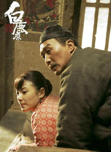 白鹿原导演和女主角？张雨绮在白鹿原的角色是什么？ 