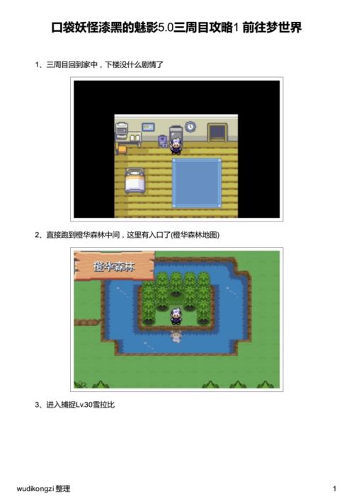 漆黑的末影全部剧情?求口袋妖怪漆黑的魅影5.0EX图文攻略,要有图的?