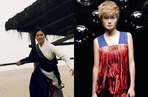 不休不止导演?龙门飞甲里面有李宇春?