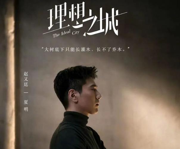 2021下半年新剧上映排行榜?理想之城赵显坤 原型?