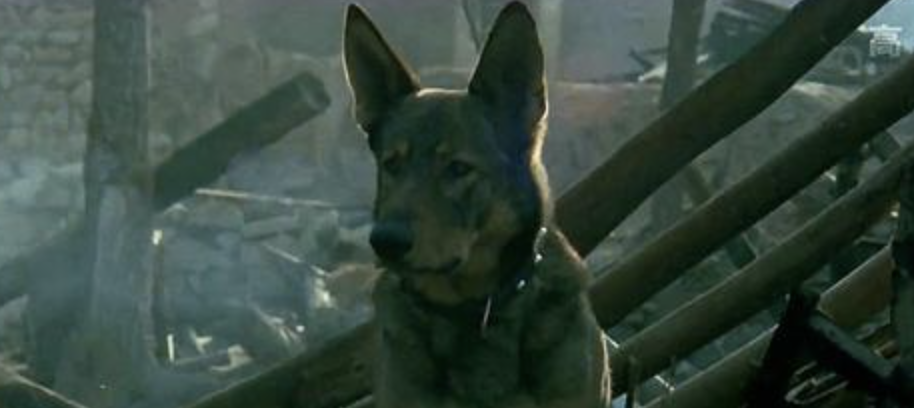 犬王的导演?犬王中的导演后来怎么样了?