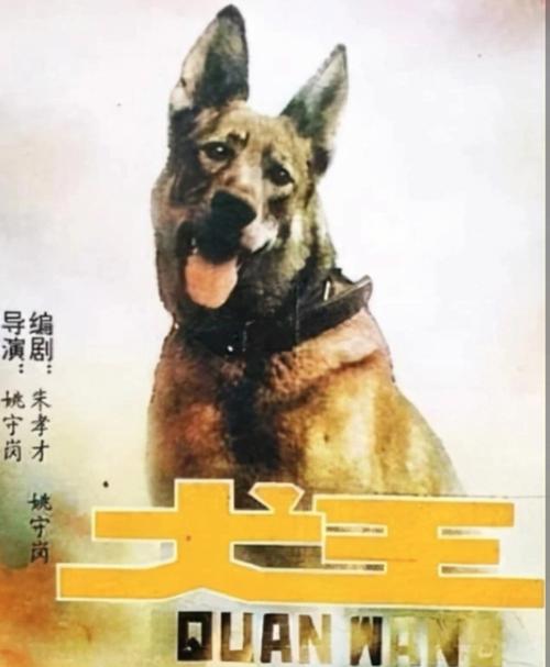 电影《犬王》导演叫什么名字？导演海顿介绍？ 