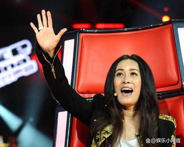 那英遭到导演挑衅是什么节目?杨采妮资料?