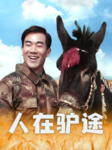 11度青春系列总共几部?人在驴途电影演员?