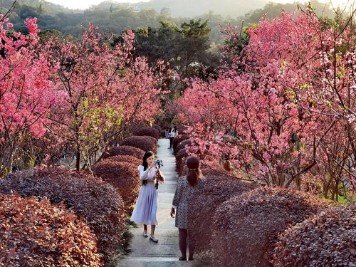 曹蕾哪里人?🌿💆♀️🌸🌇\n这是什么成语?