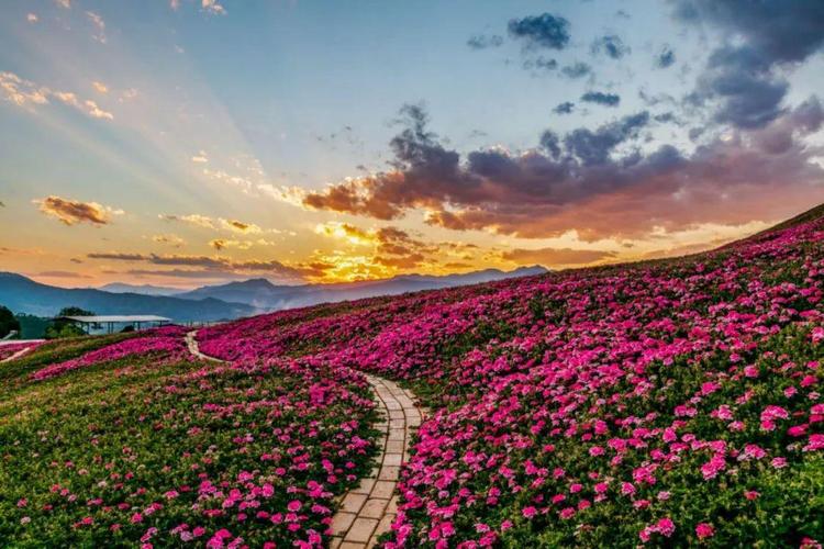 曹蕾哪里人?🌿💆♀️🌸🌇\n这是什么成语?