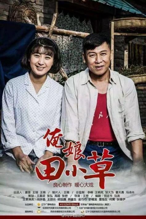 带田字的电视剧有哪些？小草的传奇人生电视剧？ 