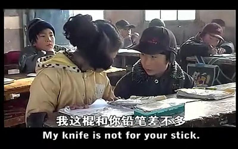 紫陀螺有几部？（张忠华导演是哪的人）