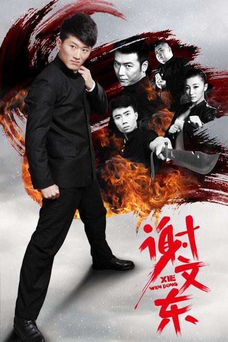 谢文东是一部怎么样的电视剧?(谢文东导演)