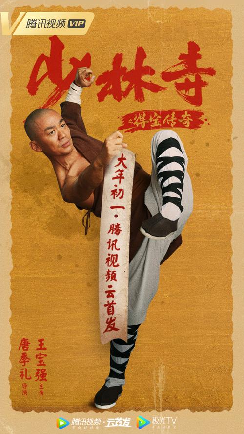 少林寺得宝传奇电影大个是谁演的?(执行导演孙明明)