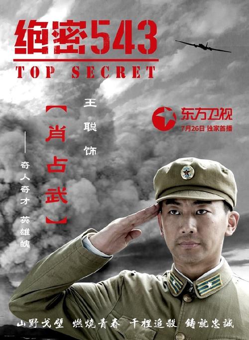 金为珩绝密543演的谁?(宋海波导演简历)