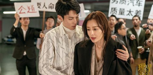 理智派剧情介绍？（徐辅军导演的电视剧）