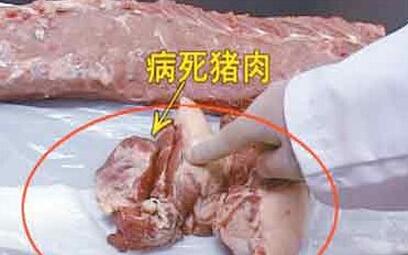 第一目标卖病猪肉第几集？（刘庆梅导演及他的作品）