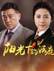 阳光下的法庭杨振华胜诉哪一集?(陈立军导演)