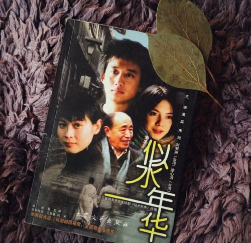 似水流年电视剧几几年拍的?(导演扈强)