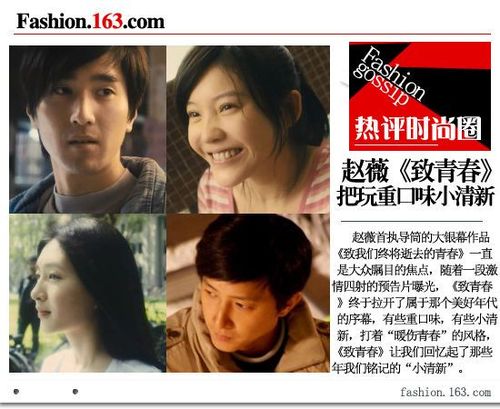 致我们逝去的青春介绍?(赵薇导演的电影叫什么)