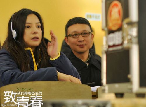 致我们逝去的青春介绍?(赵薇导演的电影叫什么)