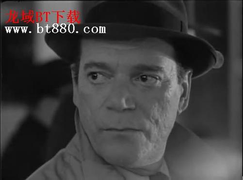 电影寻枪故事梗概?(梅尔吉布森导演的电影)