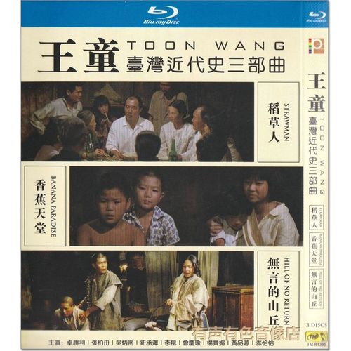 2004—2007年国产动画电影?(王童导演)