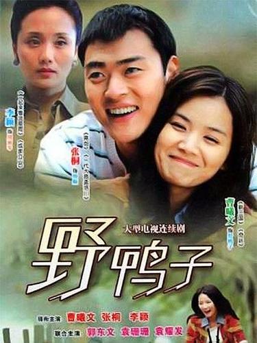 野鸭子男主角叫什么名字?(野鸭子导演)