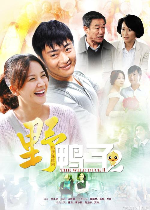 野鸭子男主角叫什么名字?(野鸭子导演)