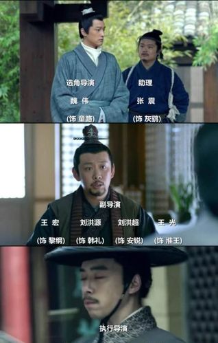 琅琊榜的导演?(琅邪榜中导演演的什么)