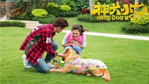 神犬小七2鲍宇是谁演的?(导演王迎哪里人)