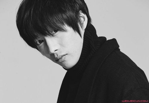寒武纪导演是猫的树吗？（猫的树 导演）