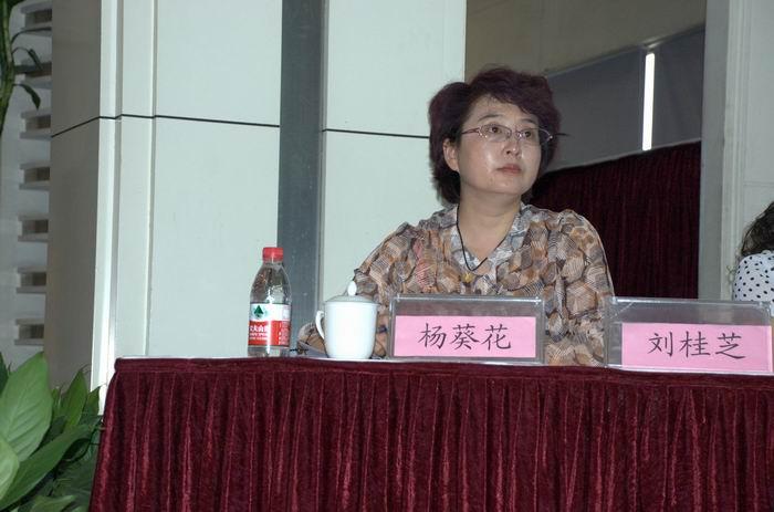 杨葵花是谁演的？（杨?B导演）