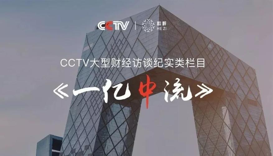 一亿中流集团做什么的？（电影七号室导演）