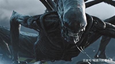 异形章鲨什么时候上映?(胡东升导演近照)