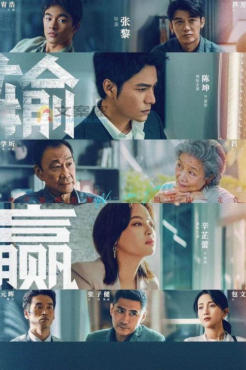 输赢陈明楷的老婆谁演的?(栾元晖导演的电视剧)