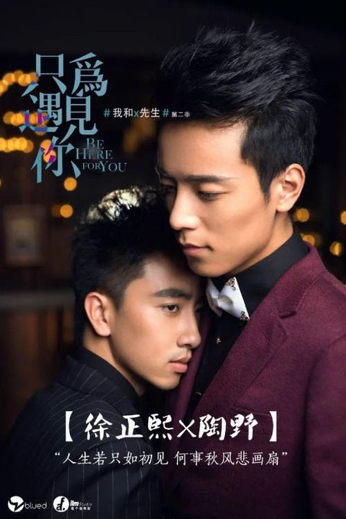 只为遇见你赵小布扮演者?(我和x先生导演张文爽)