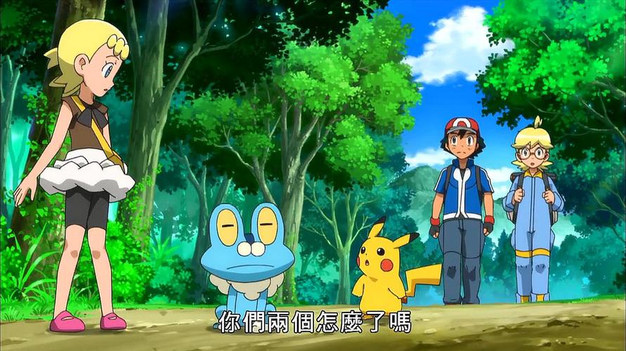 精灵宝可梦导演?(宠物小精灵的导演)