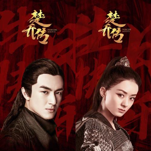 特工皇妃楚乔传阿古图的扮演者是谁?(特工皇妃楚乔传导演)