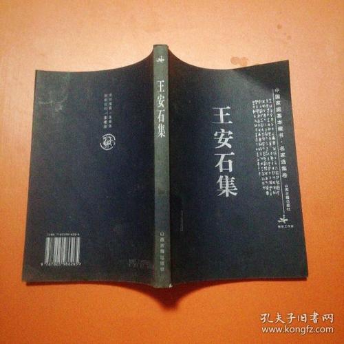王安石家谱?(导演王安前妻)