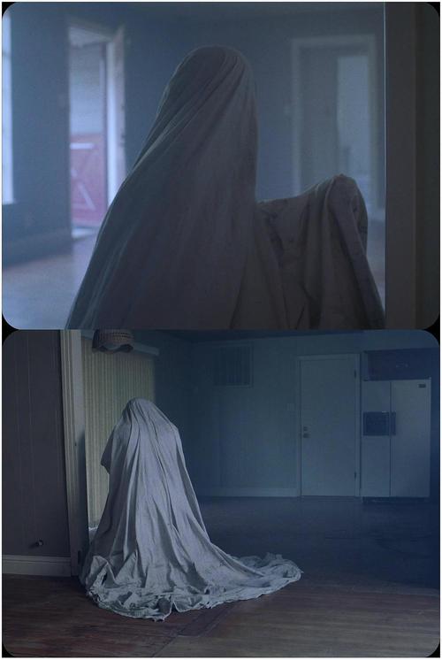 鬼魅浮生女主写了啥?(鬼魅浮生导演)