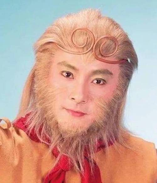 西游记张卫健版蜈蚣精扮演者？（张卫健版西游记导演）